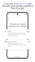 Google Gemini Ảnh chụp màn hình 3