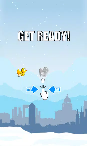 Duck Run Tangkapan skrin 0