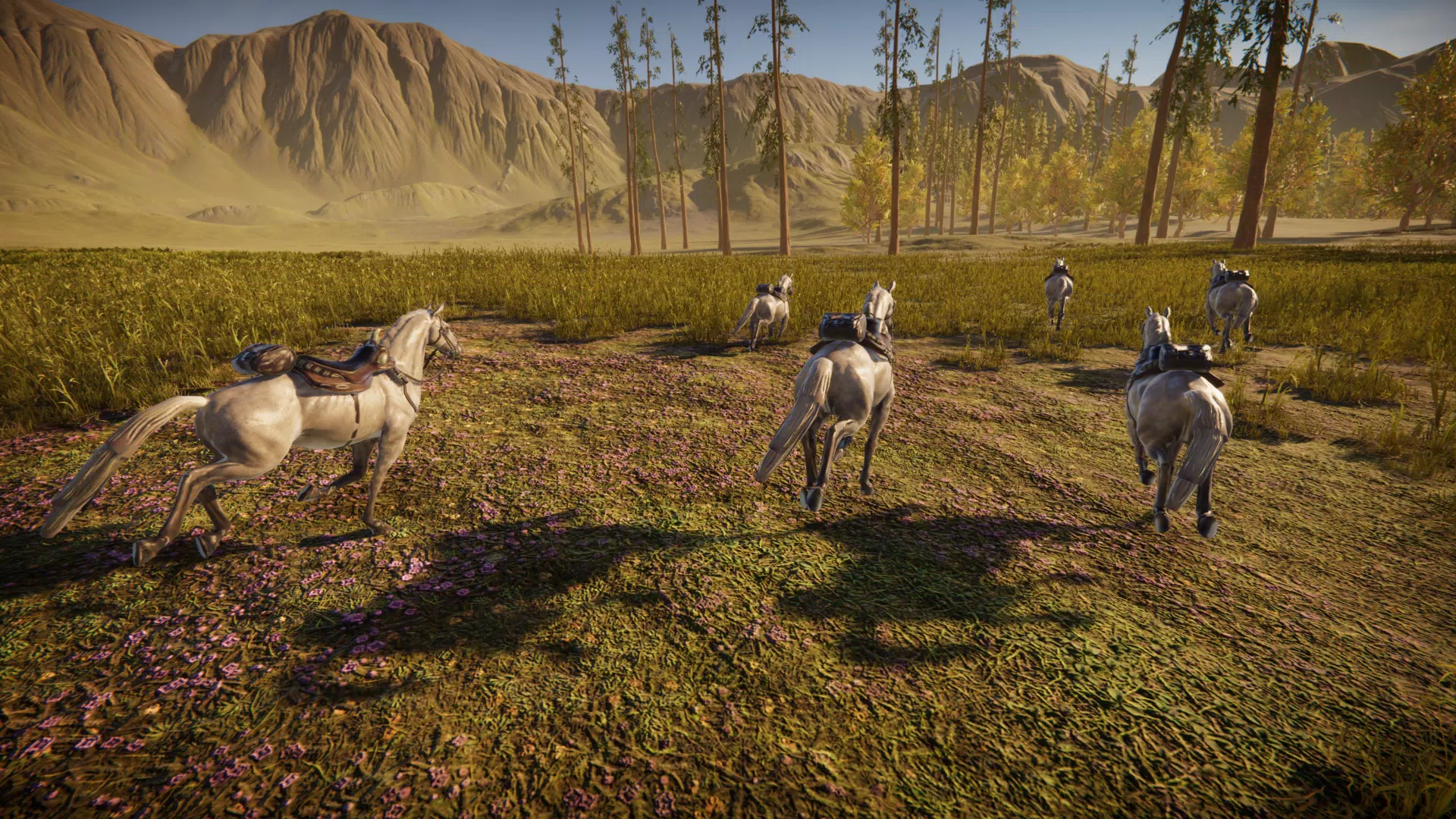 Schermata Spirit Horse: Woodland Trails 2