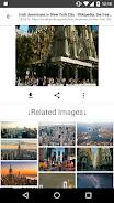 Schermata ImageSearchMan - Image Search 2