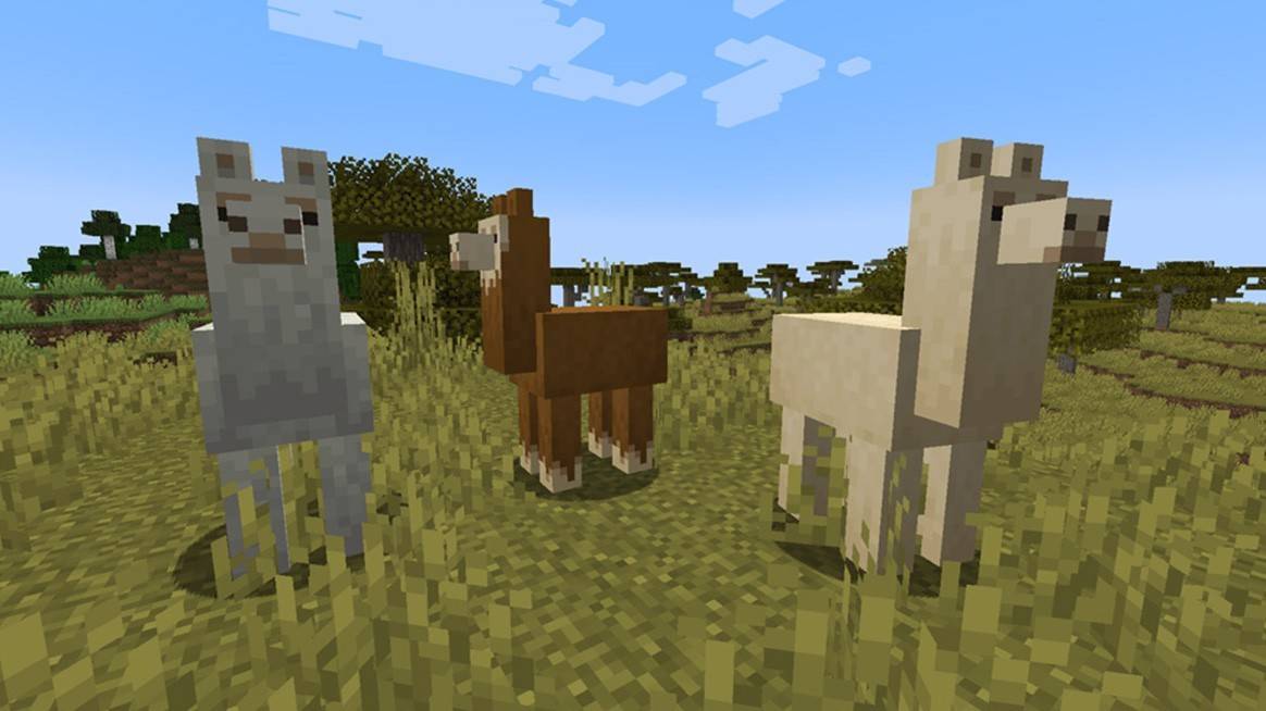 Lama's in Minecraft