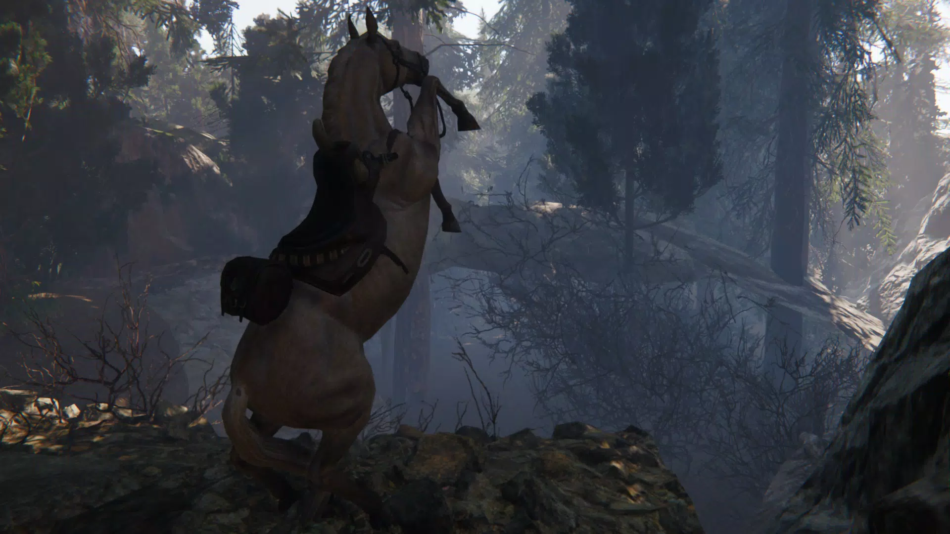 Schermata Spirit Horse: Woodland Trails 3