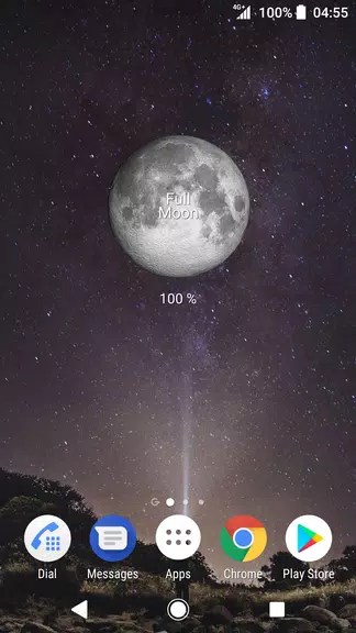 Simple Moon Phase Calendar Captura de tela 2