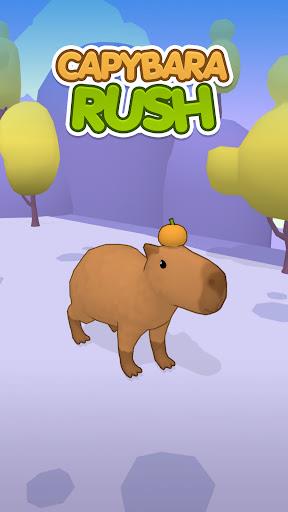 Schermata Capybara Rush 0