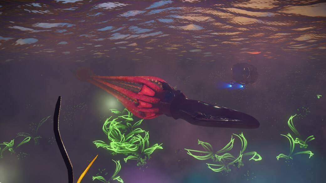 Calamares gigantes