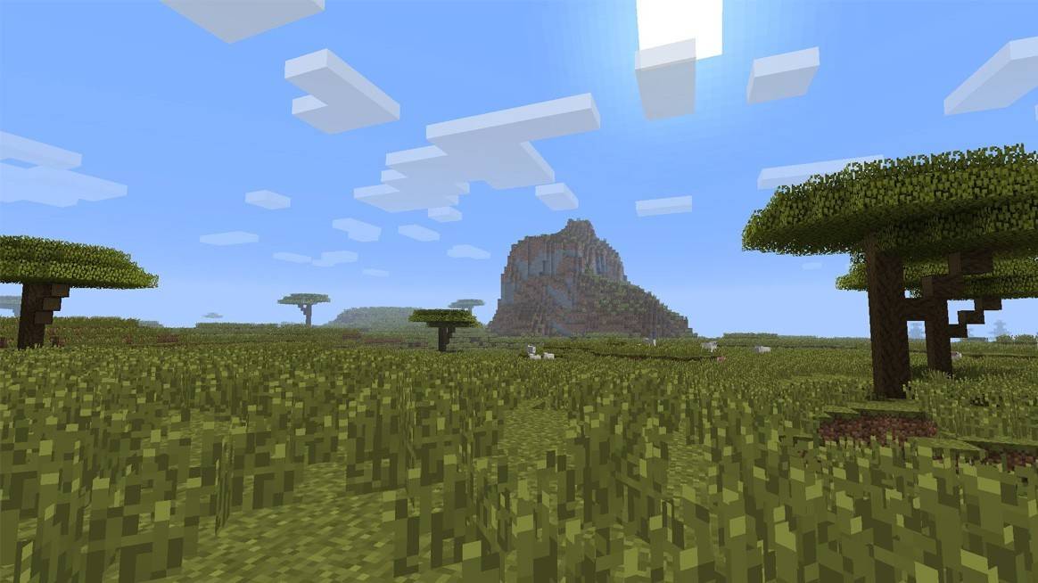 Savanne Biome