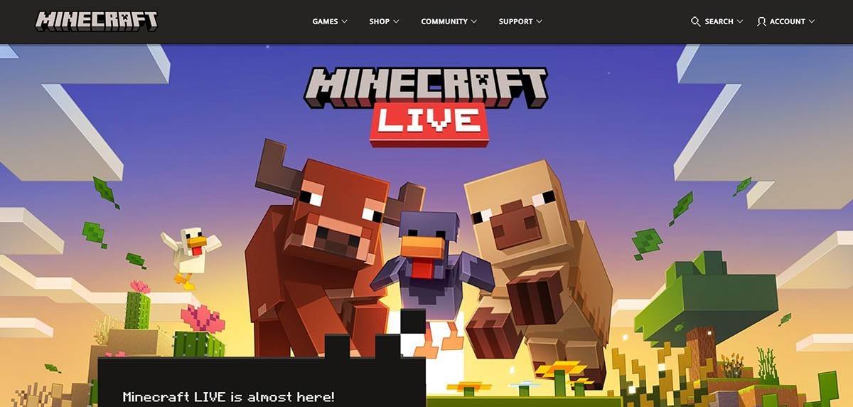 Erstellen eines Minecraft -Kontos