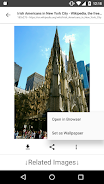 Schermata ImageSearchMan - Image Search 0