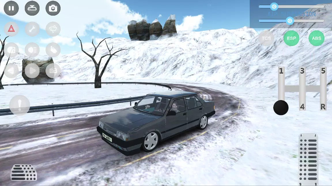 Car Parking and Driving Sim スクリーンショット 2