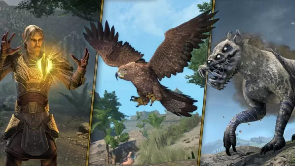 ESO 10th Anniversary Celebration