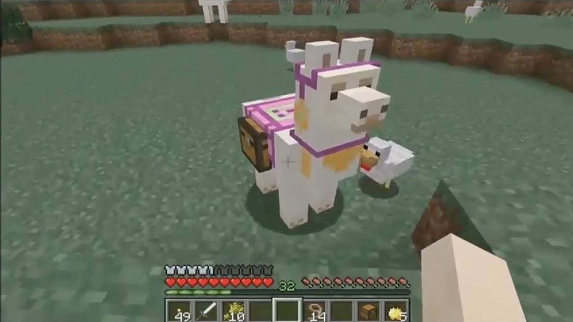 Lama's in Minecraft