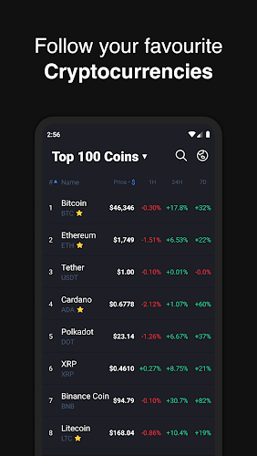 Hodler Kryptowährung Portfolio Screenshot 0