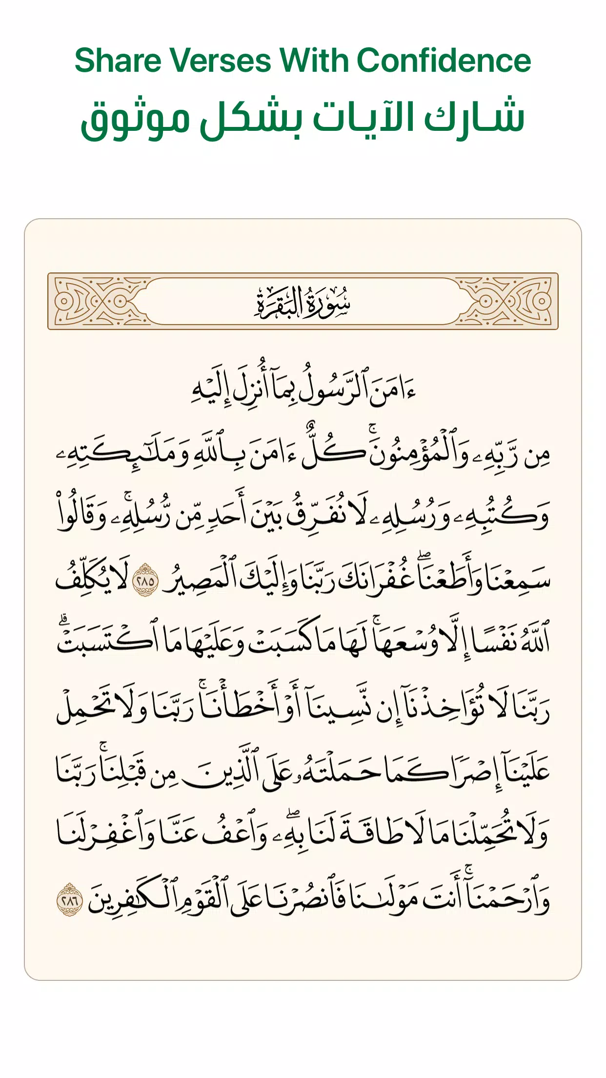 آية - تطبيق القرآن الكريم Capture d'écran 3