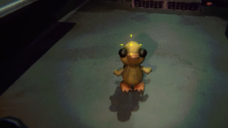 L'actualité « Duck Bucket » vise à éloigner les canards